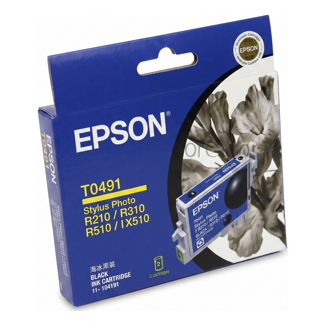 Mực máy in Epson C13T0491 màu đen (chính hãng)