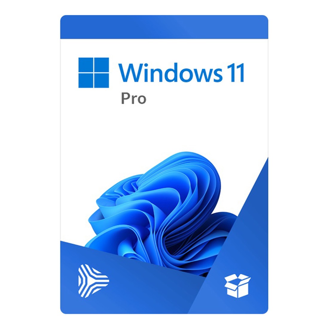 Windows 11 Pro 64Bit Eng Intl 1pk DSP OEI DVD (FQC-10528)