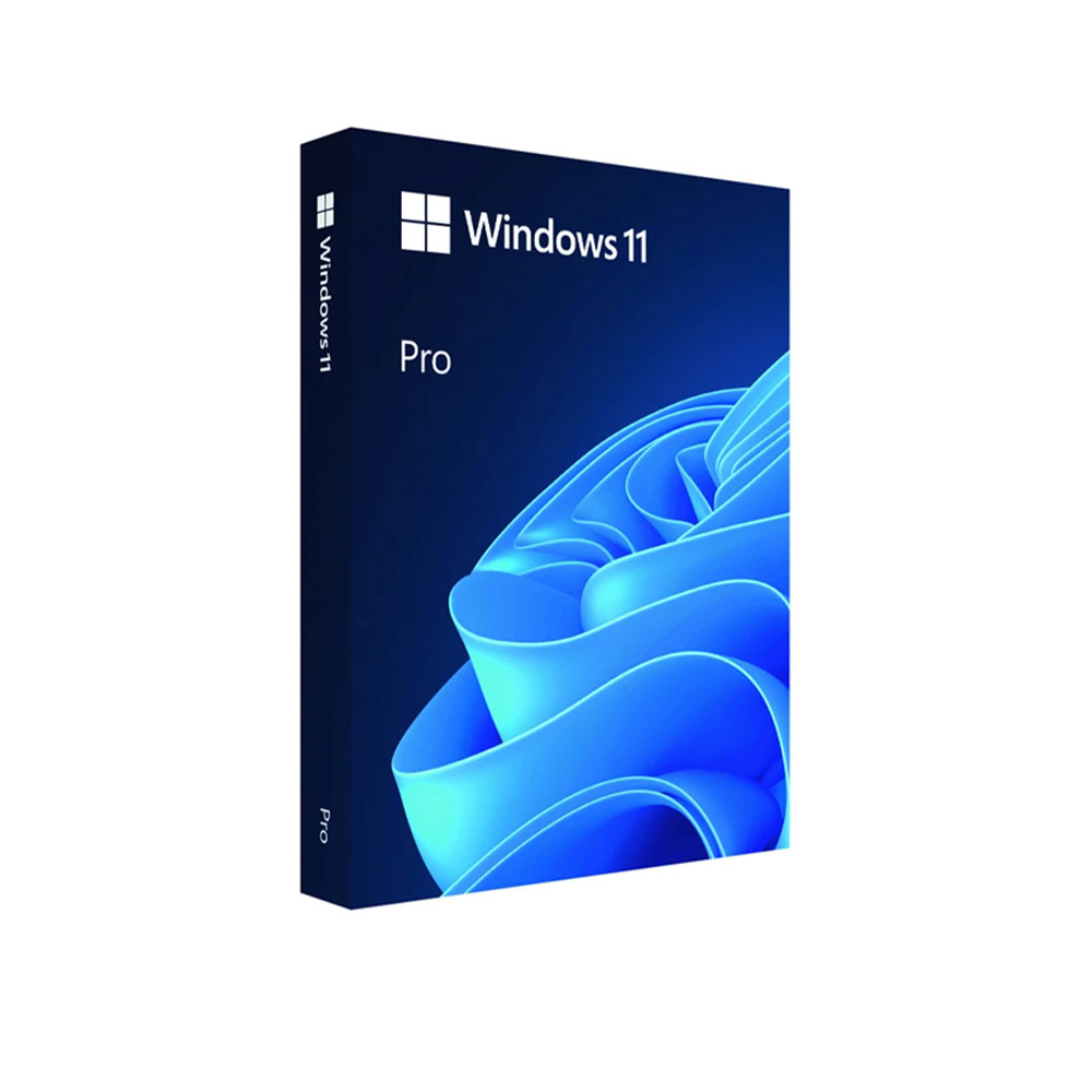 HỆ ĐIỀU HÀNH WINDOWS 11 PRO FPP 64-BIT ENG INTL USB (HAV-00163) 2