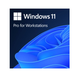 Phần mềm Microsoft Win 11 Pro for Workstation 64Bit Eng Intl 1pk DSP OEI DVD (HZV-00101)