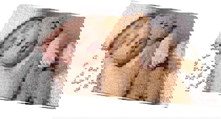 Ravensburger Invests in HP Indigo 18K Digital Press for Puzzles